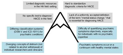 Isolated high altitude psychosis, delirium at high altitude, and high altitude cerebral edema: are these diagnoses valid?